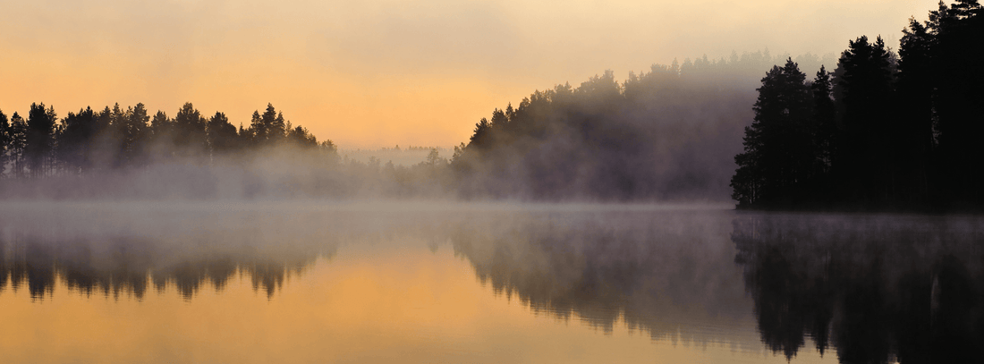 Morning fog